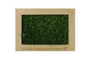 Cadre en bois avec mousse naturelle - Forme Rectangle personnalisable
