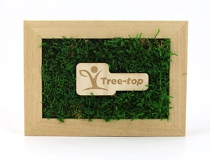 Cadre en bois avec mousse naturelle - Forme Rectangle personnalisable