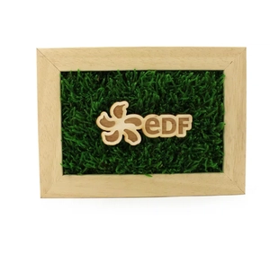 Cadre en bois avec mousse naturelle - Forme Rectangle personnalisable