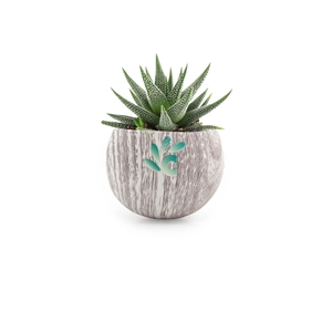 Plante pot céramique aimanté effet bois