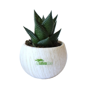 Plante pot céramique aimanté effet bois personnalisable