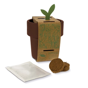 Tasse à café avec graines de tomate cerise - kit de plantation personnalisable