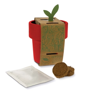 Tasse à café avec graines de tomate cerise - kit de plantation personnalisable