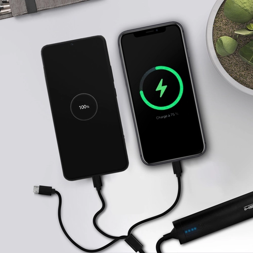 image du produit Câble USB 3 en 1 avec fonction batterie de secours 2600 mAh
