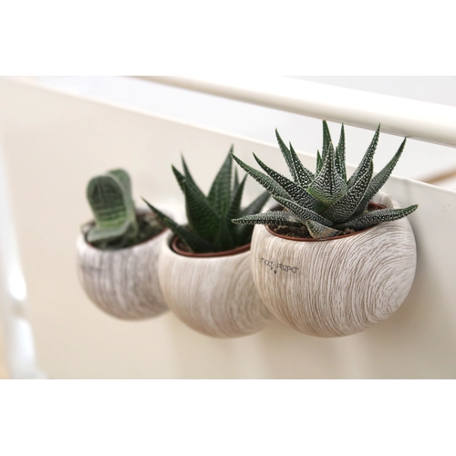 image du produit Plante pot céramique aimanté effet bois