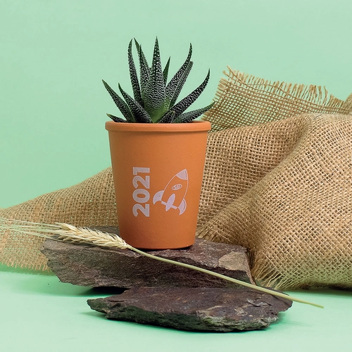 image du produit Plante pot terre cuite Ø7cm