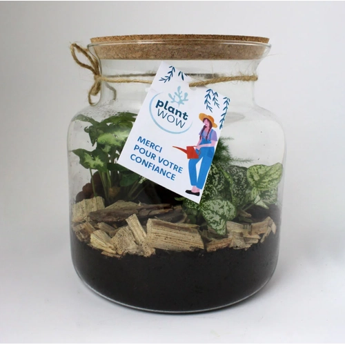 image du produit Terrarium relaxant